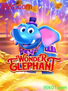Descubra o Universo de WonderElephant no 99K.com